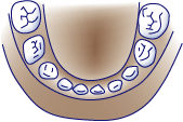 first bite dental family dentistry infants teething2
