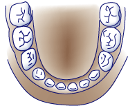 first bite dental family dentistry infants teethinh3